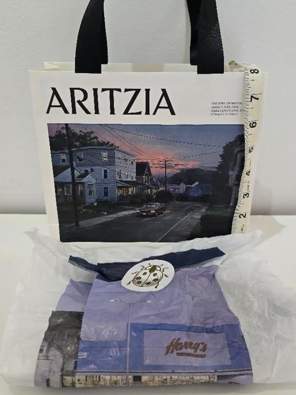 Aritzia Navy and Lavender Shopping Paper Bag with Scenic Print With Paper
